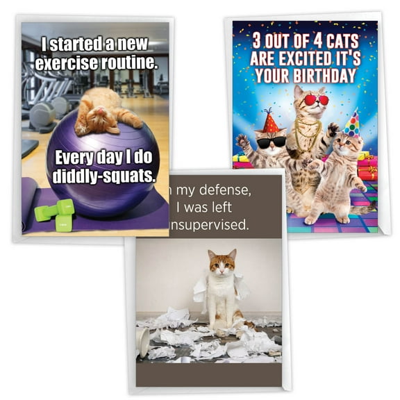 NobleWorks 3 Variety Assortment Pack of Hysterical Birthday Greeting Card for Men and Women, with 5 x 7 in Envelopes (3 Designs, 1 Each), Funny Felines VC2809BDG-C1x3
