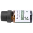 thumbnail image 4 of Aceites esenciales naturales de 10 ml, aceites aromáticos vegetales no irritantes, aceite esencial de masaje calmante (esquisto de serbal), 4 of 5