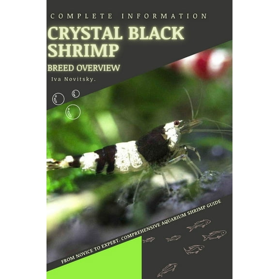 Crystal Black Shrimp: From Novice to Expert. Comprehensive Aquarium shrimp Guide