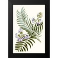thumbnail image 2 of Vision Studio 17x24 Black Modern Framed Museum Art Print Titled - Graceful Botanical IV, 2 of 5
