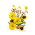 thumbnail image 3 of Flores prensadas secas, juego de flores de , hermosa artesanía, fabricación de velas, Material de fabricación DIY para pantallas de , Amarillo verde, 3 of 8