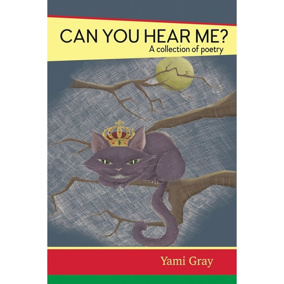 Can You Hear Me? (Paperback)