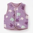 thumbnail image 5 of NIEWTR Baby Boys Girls Fleece Vest Button Down Sleeveless Jacket Cute Kids Fall Winter Waistcoat Outerwear with Pocket, 5 of 8
