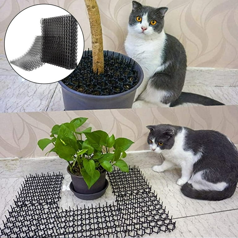 Foruneed Complete Cat Preventative Kit Deter Cats With Our Anti Cat Thorn 12 Strong Pieces For All Around Preservation Keep Furniture Beds And Floors Cat Walmart