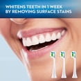 thumbnail image 5 of Cabezales de repuesto para cepillo de dientes, 3 cabezales, 5 of 5