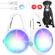 thumbnail image 1 of Collar de perro, lámpara LED recargable con clip, Poey, paquete de 2, 1 of 7