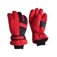 thumbnail image 1 of Jumpingount Guantes de esquí Manopla Manoplas profesionales Accesorios Protección contra la frialdad Manoplas para montar al aire libre Senderismo Ciclismo guantes y mitones Rojo Jumpingount AP011078-01B, 1 of 6