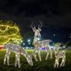 thumbnail image 3 of Ciervo iluminado LED Baoblaze Estaca Navidad Decoraciones Interior, 3 of 7
