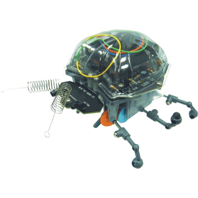LadyBug Robot Kit