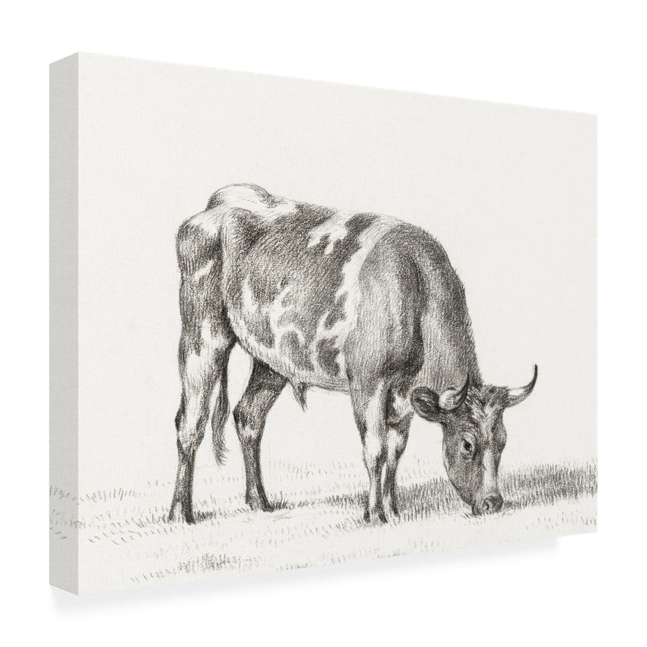 Trademark Fine Art Jean Bernard Bernard's Bull Renderings I Canvas Wall Art