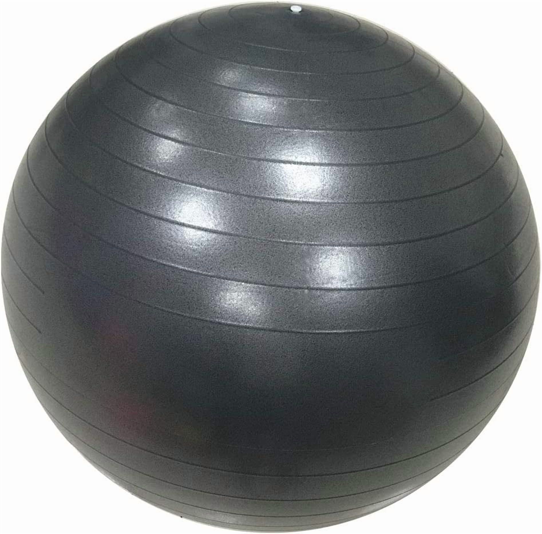 RevTime Ultra Thick Anti-Burst Gym Ball 65 cm with Air Pump Exercise Ball Great for Yoga, Balance, Fitness, Desk Chairs, Dark Gray
