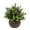 Green-F, variant on Eucalyptus Milan Flower Pot Simulation Flower,Artificial Pot Flowers Small Plants Potted Plants for House Tabletop Decoration Green Plant Pot Plant with Hemispherical Pulp Bonsai