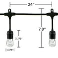 Enbrighten Classic LED Café String Lights, 24ft. 12 Acrylic Bulbs