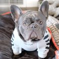 thumbnail image 2 of Sudadera con capucha para perros de moda para mascotas, ropa deportiva para perros de otoño e invierno, 2 of 5