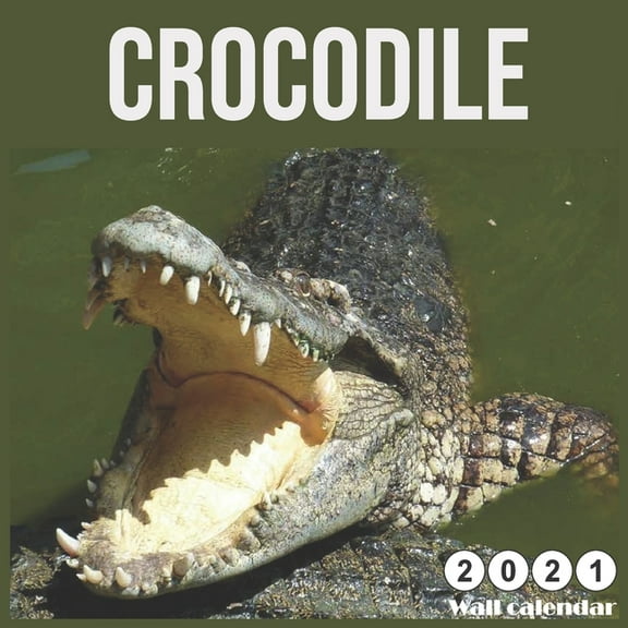 Crocodile 2021 Calendar: 16 Month Calendar 2021