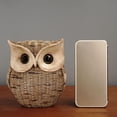 thumbnail image 4 of Grandest Birch Owl Ornament Realistic Looking Vivid Facial Expression Resin Rattan Handmade Owl Figurine Decoration for Home Eye-c, 4 of 8