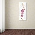 thumbnail image 3 of Trademark Fine Art "Rainbow Seeds Flowers VII" Canvas Art by Lisa Audit, 3 of 3