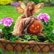 thumbnail image 5 of pstuiky Montón de plantas en macetas para jardín con calabazas naranjas, macetas decorativas para suelo, accesorios de decoración, 5 of 7