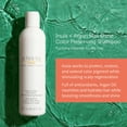 thumbnail image 6 of e.fek.tiv Inula and Argan Color Shampoo, Hair Shampoo, 8 oz, 6 of 7