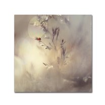 Heidi Westum 'Little Lady' Canvas Art