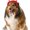 Red Heart Bopper, variant on Rubie's St. Patrick's Day Bopper Dog Costume