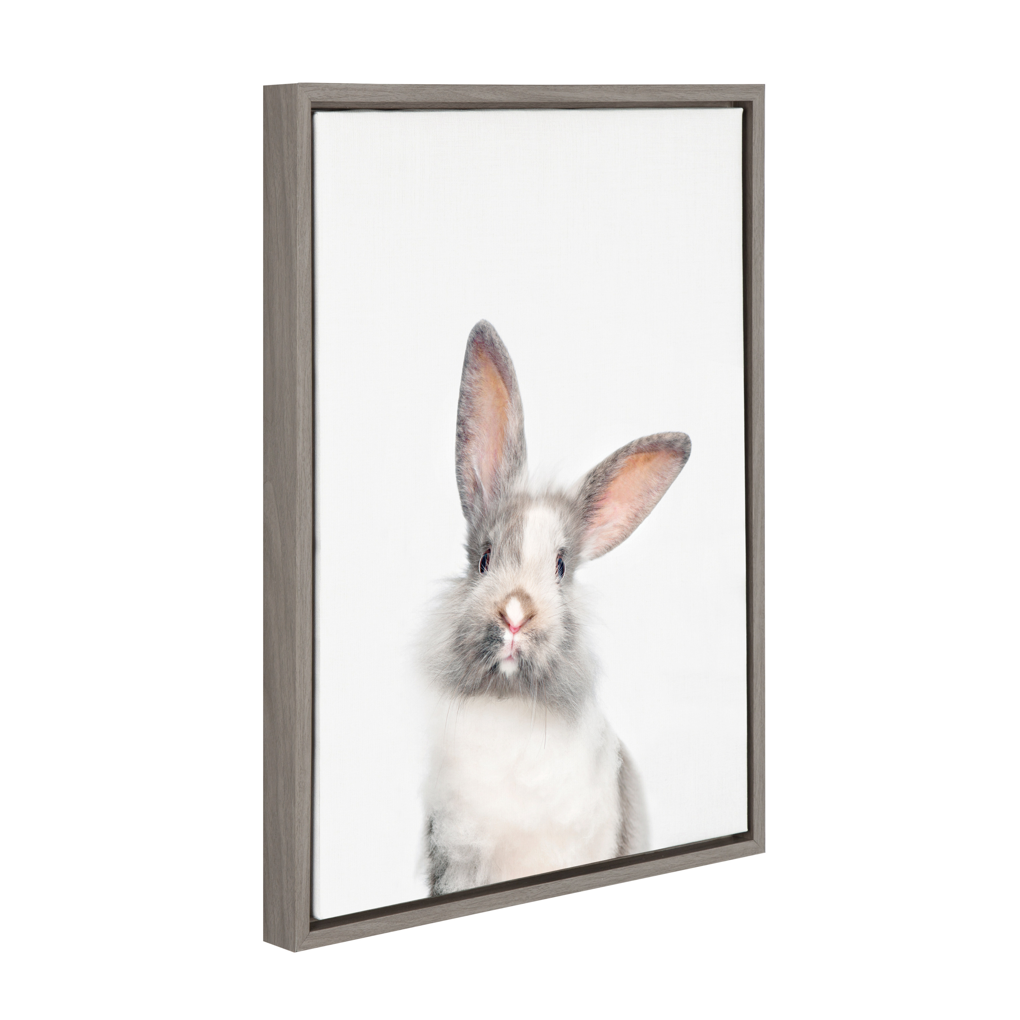 Kate and Laurel Sylvie Baby Bunny Rabbit Animal Print Portrait Framed Canvas Wall Art by Amy Peterson, 18x24 Gray