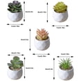 thumbnail image 3 of Moyic Simulación suculenta artificial Bonsai Flower Crafts Party Office Decoración tipo5, 3 of 6