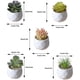 thumbnail image 5 of Naiovety Mini plantas suculentas artificiales, simulación de bonsái, flor falsa con maceta, paisaje en maceta, suministros para de salón Type5 NO5, 5 of 6