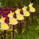 thumbnail image 5 of pstuiky Luces solares LED de Pascua clásicas luces de tierra de conejito elemental de Pascua decoración de jardín al aire libre para fiestas una remolque cinco, 5 of 7