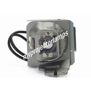 Optoma HD143X Projector Lamp with Module