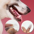 thumbnail image 5 of 12 Pieces Pet Toothbrush, Dog Finger Toothbrush Silicone Dog Toothbrush Finger Toothbrush, for Pet Dogs and Cat Improve Oral Hygiene, 5 of 5