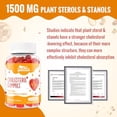 thumbnail image 4 of Suplementos de colesterol con 1500 mg de esteroles y estanoles vegetales, gomitas de apoyo para el colesterol, gomitas de complejo de colesterol, mantiene niveles normales, sabor a bayas mixtas, 120 u, 4 of 5