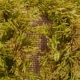 thumbnail image 4 of SAFAVIEH Faux 10 Inch Moss Pumpkin, Green, 4 of 5