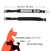 Leadleds Light Up LED Dog Collar, Polyester, Adjustable, Safety Glow, Fashion Collar, Green