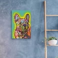 thumbnail image 4 of Epic Art 'French Bulldog III' by Dean Russo, Acrylic Glass Wall Art, 16"x24", 4 of 8