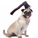 thumbnail image 1 of Perros, gatos, tocados, embaucadores, accesorios, mascotas, tocados de Halloween, sombreros divertidos1820, 1 of 5