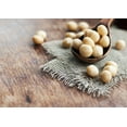 thumbnail image 6 of Organic Whole Macadamia Nuts, 18 Pounds - Non-GMO, Raw, Kosher, Vegan - by Food to Live, 6 of 7
