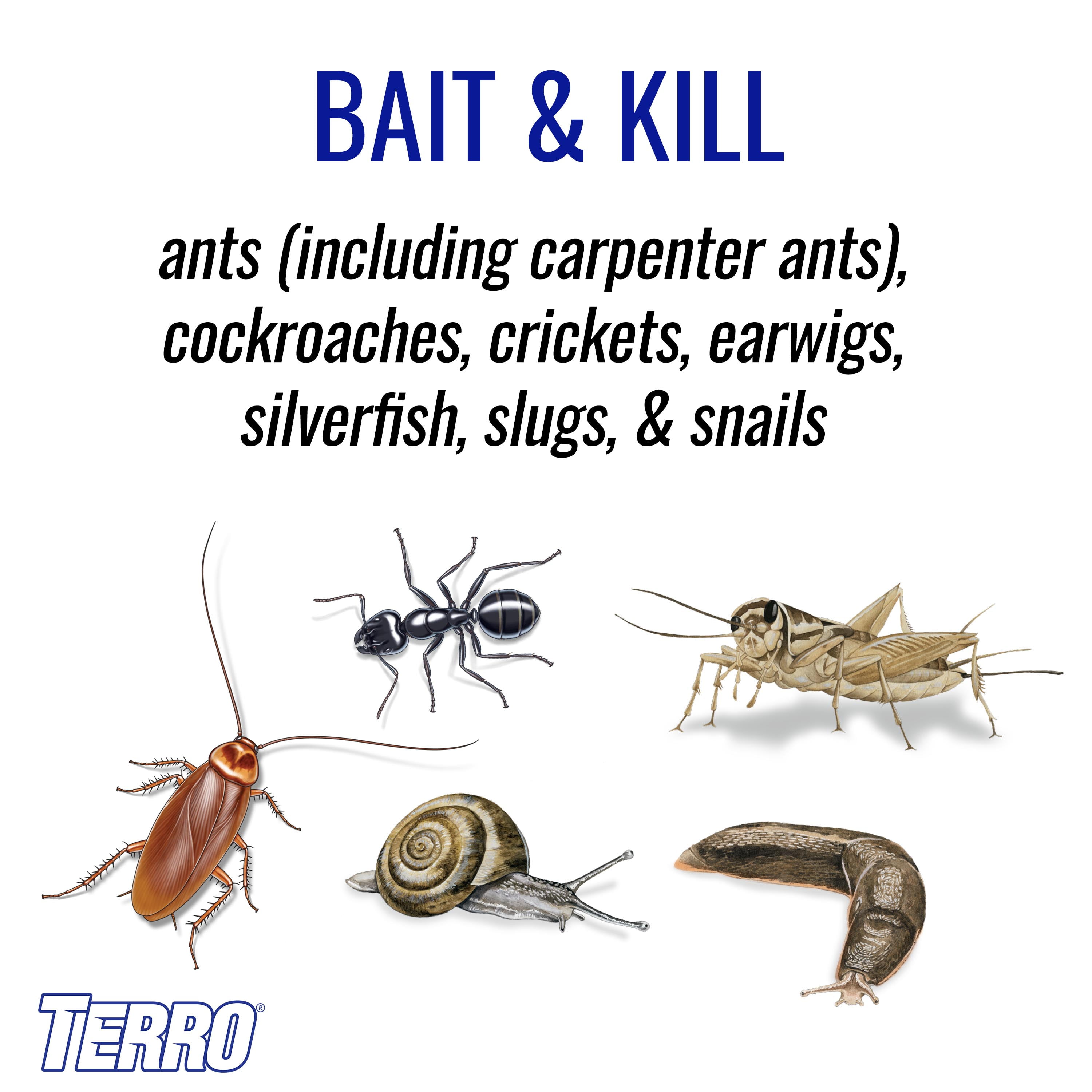 TERRO Perimeter Ant Bait Plus - 2 LB