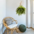 thumbnail image 4 of Nearly Natural 29in. Double Giant Boston Fern Artificial Plant in Wicker Hanging Basket, 4 of 6
