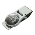 thumbnail image 1 of Screech Owl in a Birch Tree Satin Chrome Plated Metal Money Clip, 1 of 4