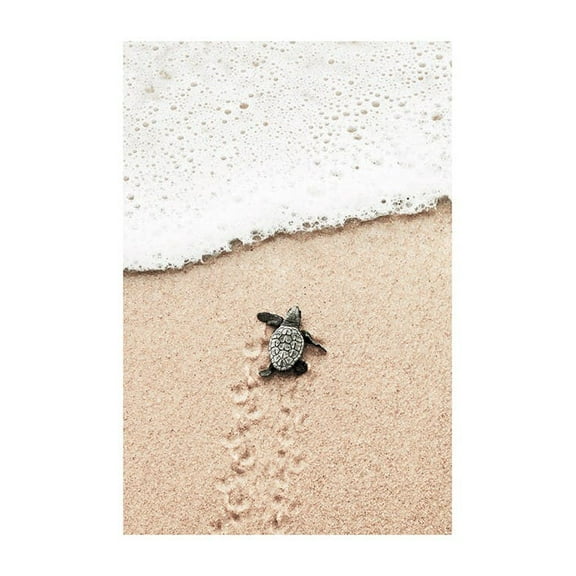 Baby Turtle Print Wall Art, Modern Wall Decor For Living Room Bedroom, 8x12 UNFRAMED