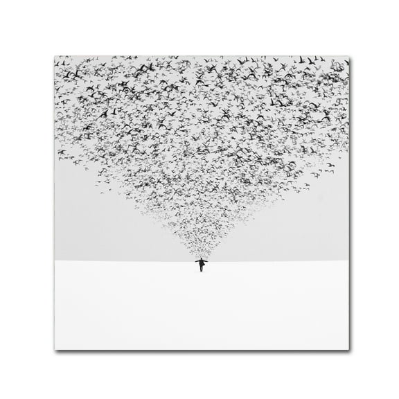 Trademark Fine Art 'The Dark Half' Canvas Art by Hossein Zare