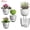 White, variant on 2 Pack 4" Self Watering Planter Pots,Tutuviw Clear Plant Pot for Indoor,Flower Pots Clear Bottom with Wick,Desktop Plant Pot Propagating Hydroponic for African Violet,Herbs,Home Decor