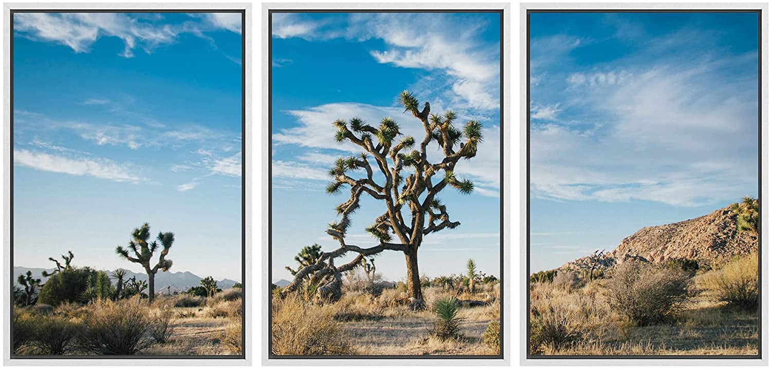 wall26 Framed Canvas Print Wall Art Joshua Tree Desert National Park