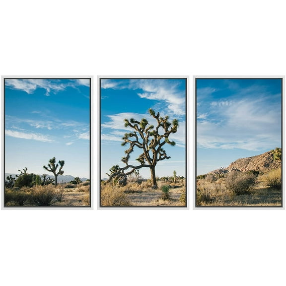 wall26 Framed Canvas Print Wall Art Joshua Tree Desert National Park Landscape Nature Wilderness Photography Modern Art Rustic Scenic Multicolor for Living Room, Bedroom, Office - 24"x36"x3