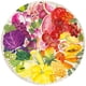 thumbnail image 1 of Ravensburger Círculo de colores: Rompecabezas redondo de 500 piezas de frutas y verduras para adultos y niños - Tecnología única Softclick | Acabado mate vibrante | Materiales forestales sostenibles, 1 of 5