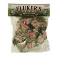 thumbnail image 1 of Fluker Farms Repta-Vines - Red Coleus - 6 RFK51017, 1 of 3