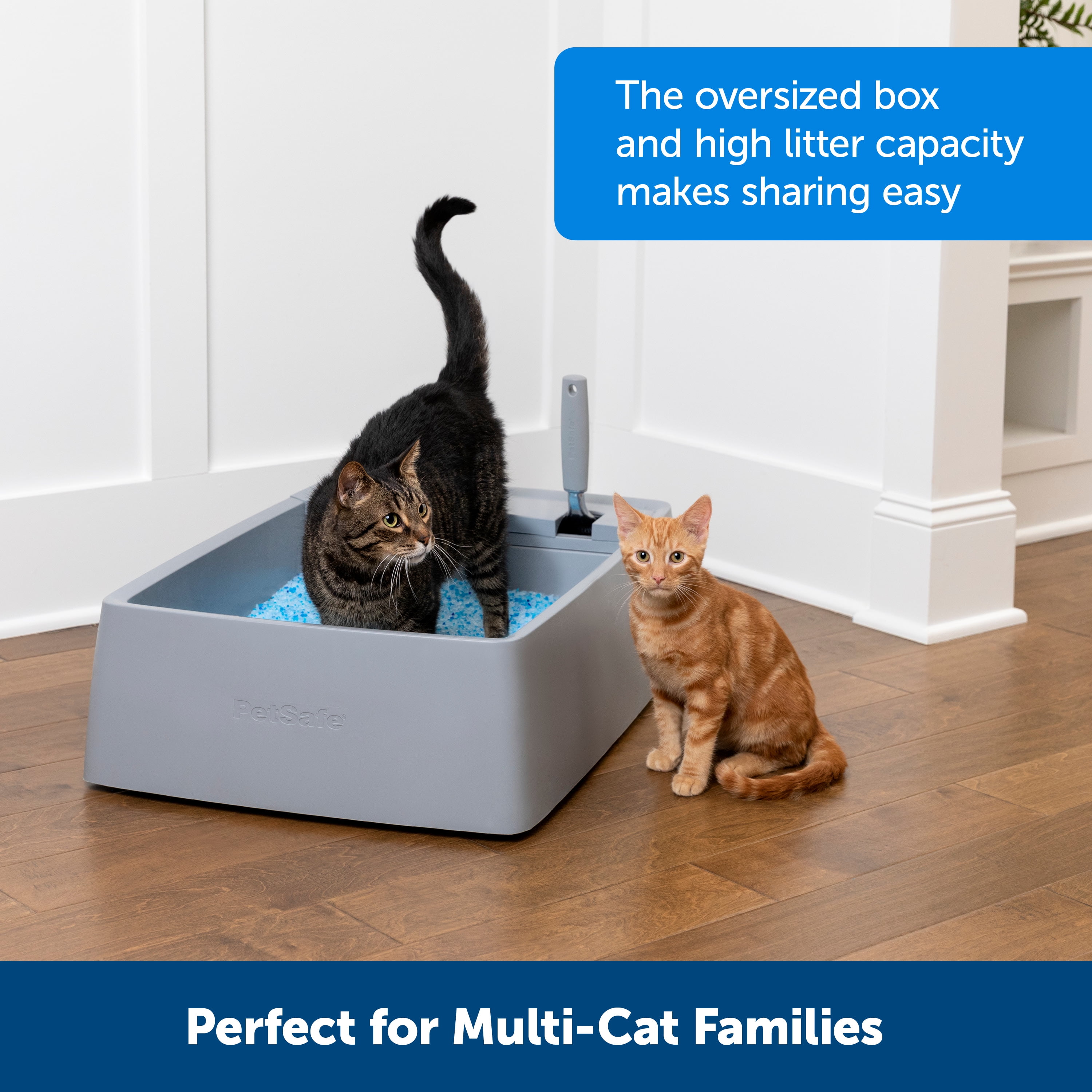 PetSafe Multi-Cat Litter Box, Ergonomically-Designed, Use with Crystal or Clumping Litter