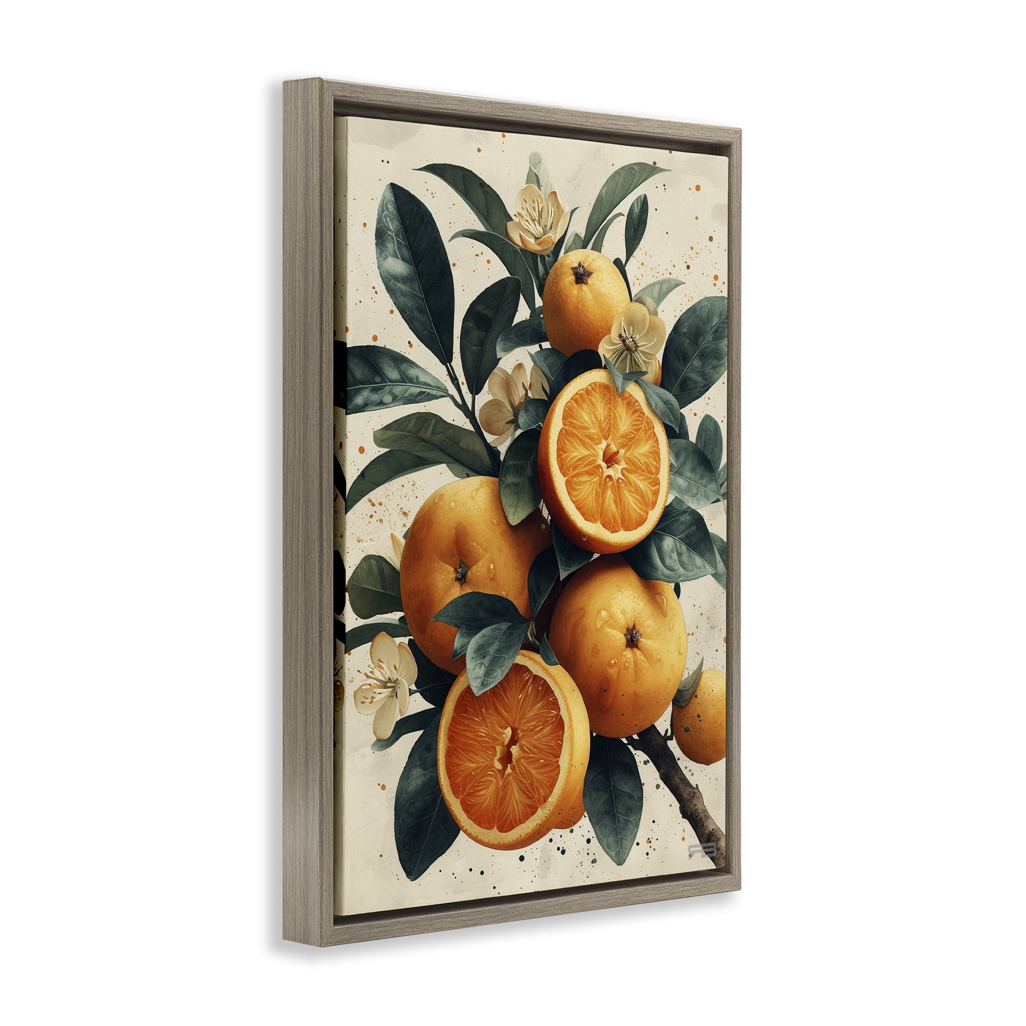 Stupell Industries Vibrant Citrus Branch Food & Beverage Painting Brown Floater Framed Canvas Art Print Wall Art, 17 x 25