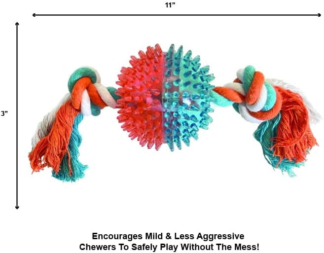 Animal Planet Spikey Round Rubber Toy with Rope